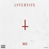 Afterlife