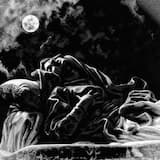 I Rode Into Eternal Damnation Just for the Culture