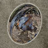 Advent of the Silicon Rain [硅雨来临]