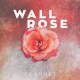 Wall Rose