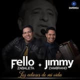 Los adioses de mi vida