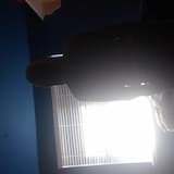 She Was Found Dead Covered In Antifreeze