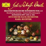 Brandenburgisches Konzert Nr. 1 F-dur BWV 1046: 1. (ohne Satzbezeichnung)