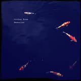 Afternoon in Stereo [Sax dub]