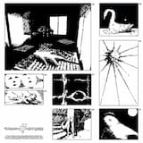 I See You in My Dreams Every Night