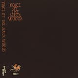 Silver Morning Branches