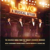 The Music Of The Night