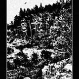 Perdidos Instintos Primordiais De Uma Antiga Raça