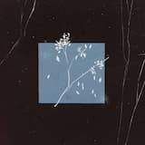 Только теперь это будет в последний раз