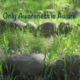 Only Awareness is Aware