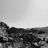 All That They Left You