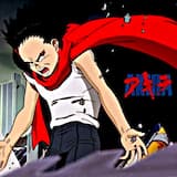 Akira: (i) bōsōzoku (ii) capsule (iii) terror (iv) tetsuo (v) destruct