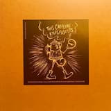 This Land Is Your Land