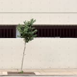 Of the Manner of Addressing Clouds