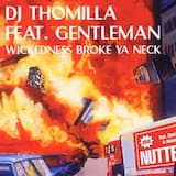 Wickedness Broke Ya Neck (Radiomix)