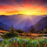 Acoustic Guitar Background Music Short B