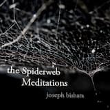 Spiderweb Meditation #1