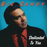 Have Love Will Travel