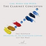 Clarinet Concerto in F minor, op. 73: I. Allegro