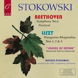 Symphony No. 6 in F Major, Op. 68, "Pastoral": I. Allegro ma non troppo