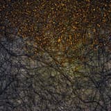 (Lost in the Woods), Pt. 6