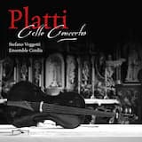 Concerto in A Major, D-WD 654: I. Allegro