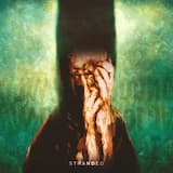 Waters From the Flood