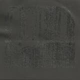 Soil Binds Breath and Bone