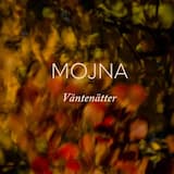 Väntenätter feat. Erlend Apneseth