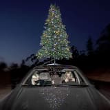 sympathy 4 the grinch