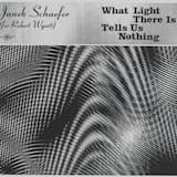 What Light There Is Tells Us Nothing (for Robert Wyatt)