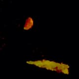 El Libro de Las Mentiras... Ocultar