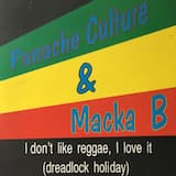 I Don't Like Reggae