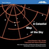 A Celestial Map of the Sky