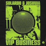 VIP Business