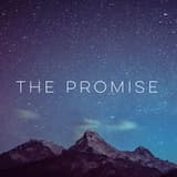 The Promise