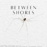 Between shores