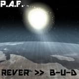 Ballistic Affairemixx