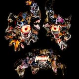 This is Your Face on Dogs