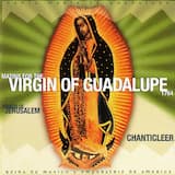 Matins for the Virgin of Guadalupe: Antífona y Salmo 18: Orchestral verso No. 8 in G minor / Orchestral verso No. 13 in G minor / Orchestral verso No. 9 in G minor