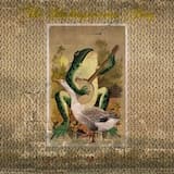 Oh, what an exquisite day