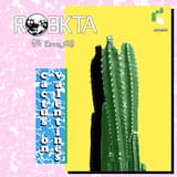 Cactus on Valentine's