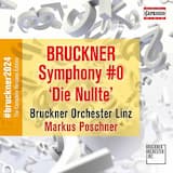 Symphony in D Minor, WAB 100 "Die Nullte": I. Allegro