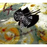 La forme de l’esprit est un papillon : Ombrages et trouées