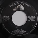 Little Serenade (Piccolissima serenata)