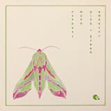 Pink & Green Emperor