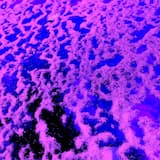 THE CLAW WAS LICKED WITH DUSTY LIGHT