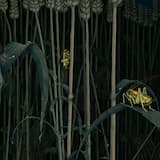 New mighty times to come