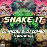 Shake It (radio edit)