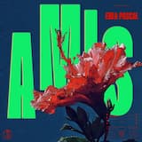 Amis (extended version)